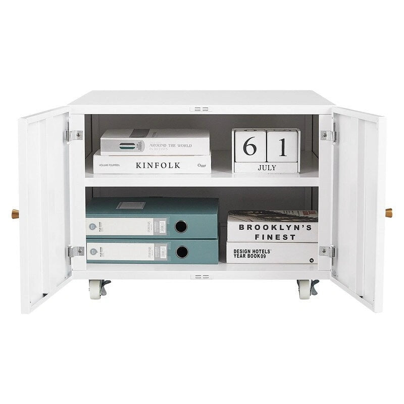 Printer Stand & Large Storage Steel Cabinet with Locked Wheel and Adjustable Shelf
